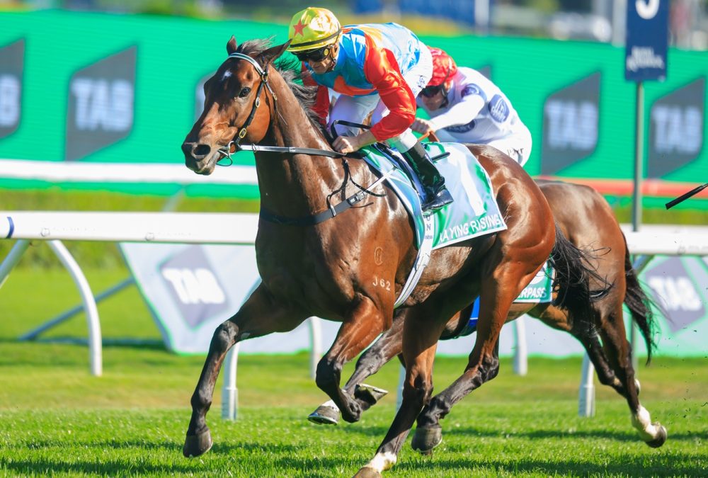 Ka Ying Rising - The TAB Everest G1 - Foto: Grant Courtney