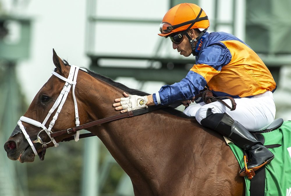 Emisael Jaramillo - BENOIT PHOTO CA