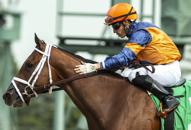 Emisael Jaramillo - BENOIT PHOTO CA