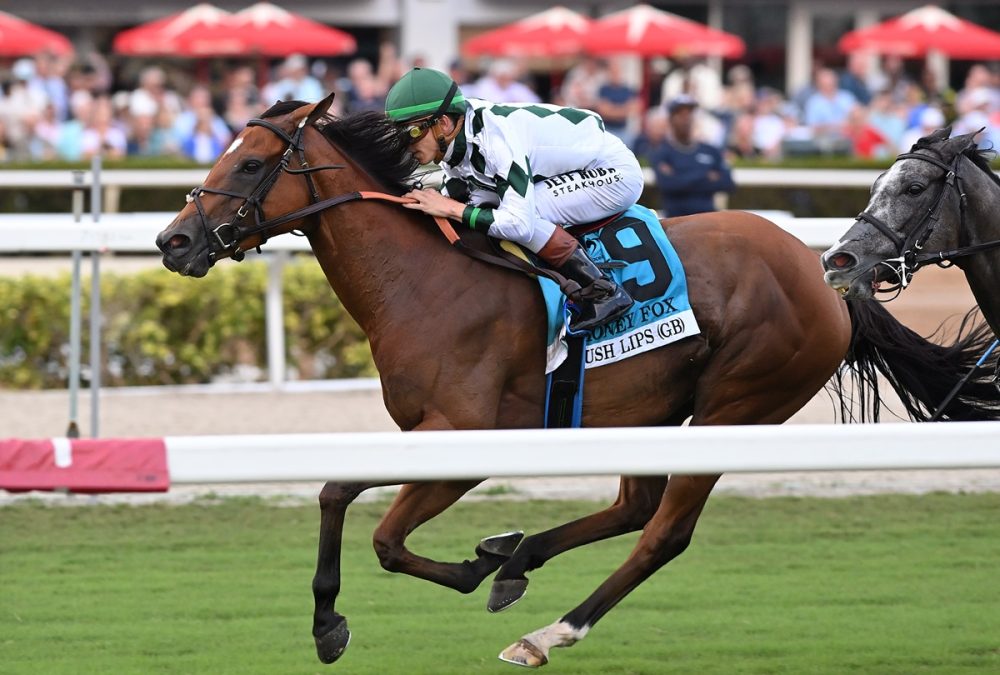 Lush Lips - Coglianese Photo