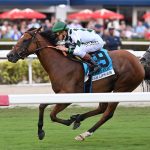 Lush Lips - Coglianese Photo