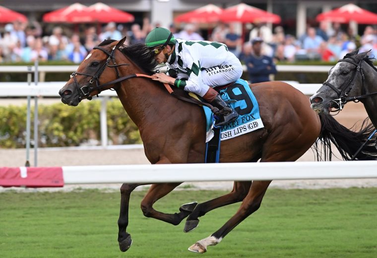 Lush Lips - Coglianese Photo