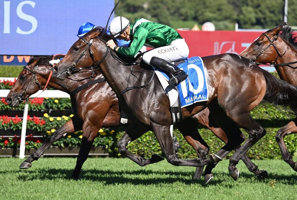 Champions Day - Royal Randwick - Sky Racing World