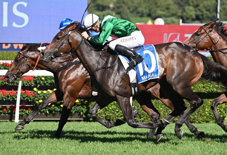 Champions Day - Royal Randwick - Sky Racing World