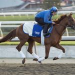 Notable Speech - Michael Burns photo