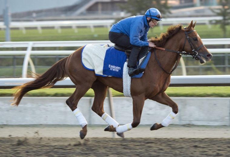 Notable Speech - Michael Burns photo
