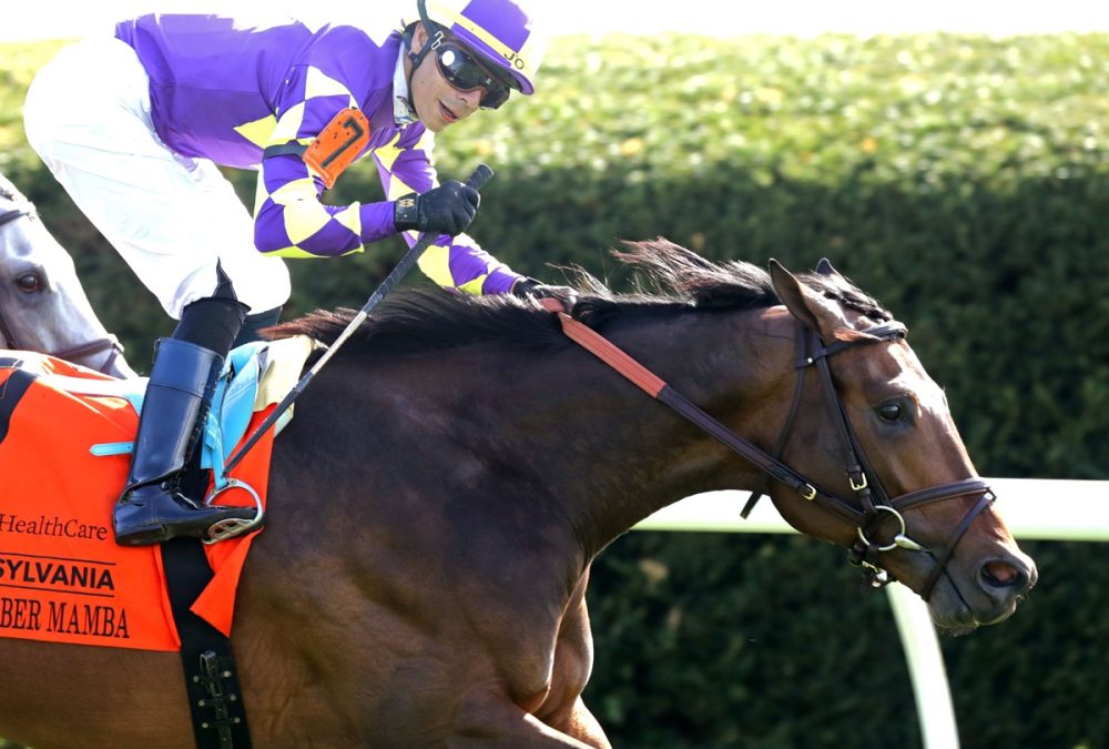 Remember Mamba – Transylvania Stakes G3 – Keeneland – Coady Media USA