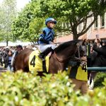 Keeneland scenic – Spring 2026 – Coady Media