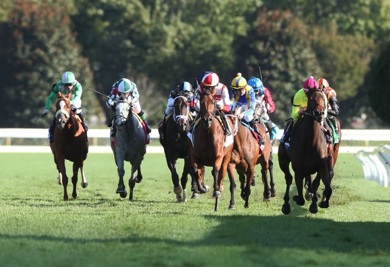 Keeneland Racecourse – Coady Media