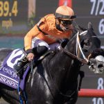 Shisospicy – Barbara D. Livingston – Daily Racing Form