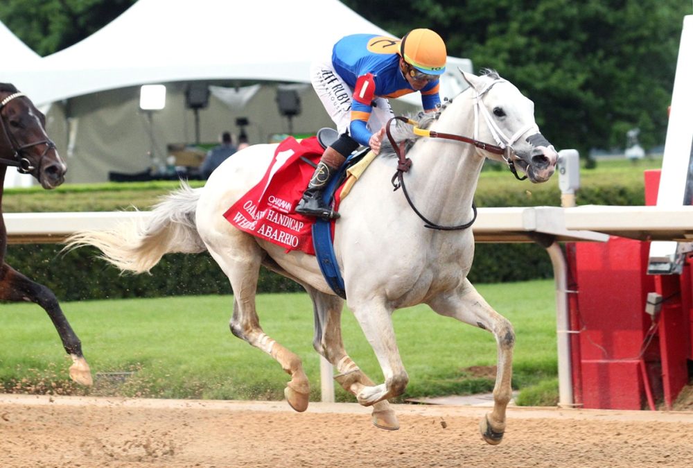 White Abarrio – Oaklawn Handicap G2 – Coady Media