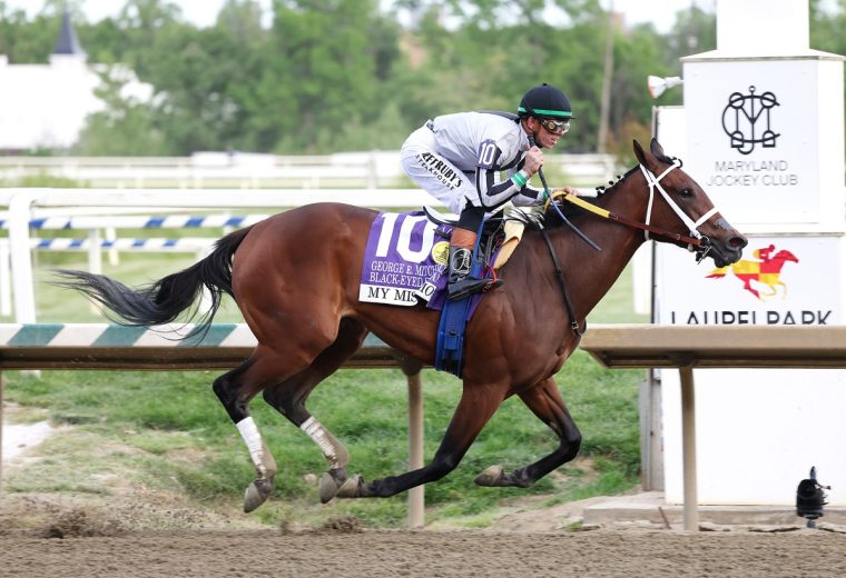My Miss Mo - George E. Mithcell Black-Eyed Susan Stakes - Photo By Bill Denver/EQUI-PHOTO