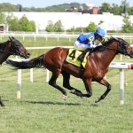 Fort Washington - Grade III Dinner Party Stakes at Laurel Racecourse - Photo By Bill Denver/EQUI-PHOTO