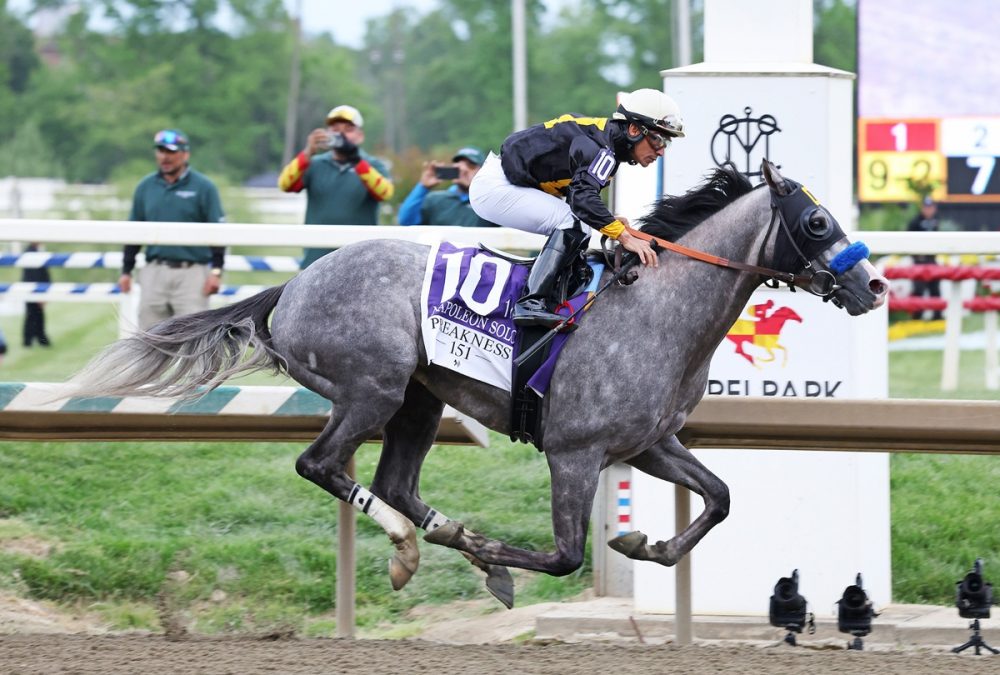 Napoleon Solo - Preakness Stakes G1 2M - Laurel Racecourse - Photo By Bill Denver/EQUI-PHOTO