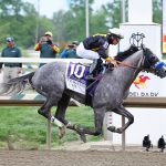 Napoleon Solo - Preakness Stakes G1 2M - Laurel Racecourse - Photo By Bill Denver/EQUI-PHOTO