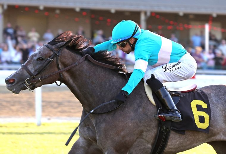 Bandiagara – $150,000 Penn Oaks at Penn National – Photo By Bill Denver/EQUI-PHOTO.