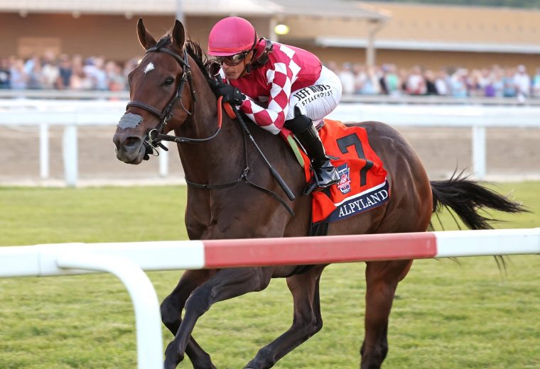 Alpyland – $400,000 Penn Mile at Penn National – Photo By Bill Denver/EQUI-PHOTO.