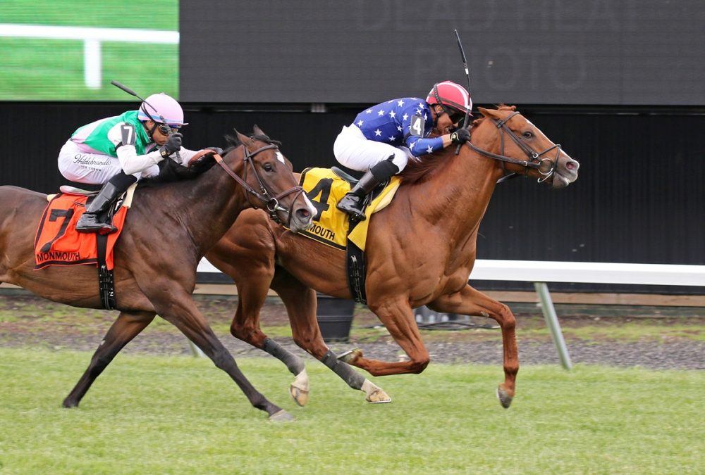 Neat – Cliff Hanger Stakes – Monmouth Park – Photo By Ryan Denver/EQUI-PHOTO