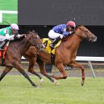 Neat – Cliff Hanger Stakes – Monmouth Park – Photo By Ryan Denver/EQUI-PHOTO
