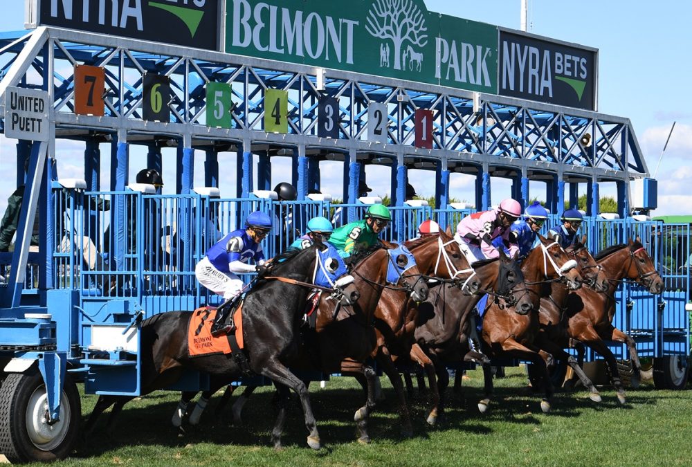 Belmont Park Fall - Coglianese Photo