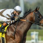 Big City Lights – Santa Anita Park – Benoit Photo