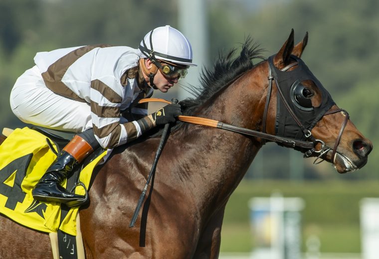 Big City Lights – Santa Anita Park – Benoit Photo