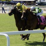 Celtic Dispute – Royal Palm Juvenile Stakes – Gulfstream Park – Coglianese Photo
