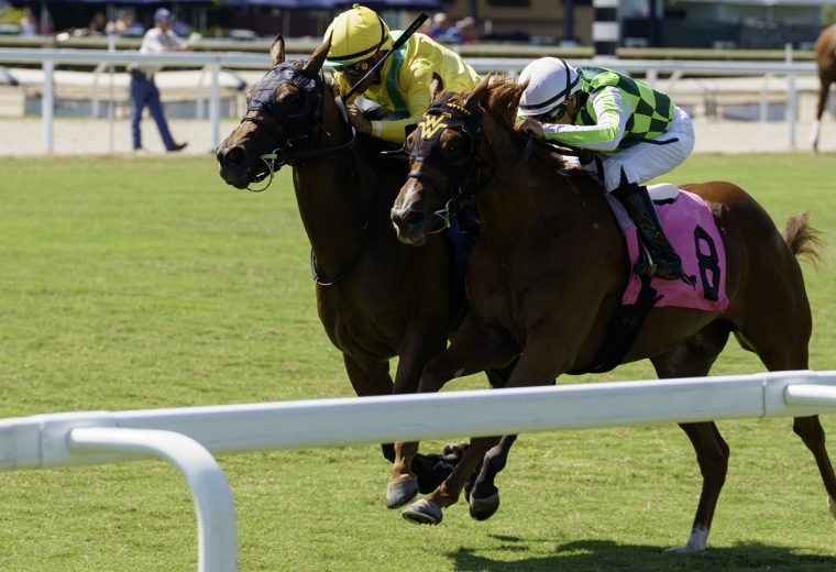 Celtic Dispute – Royal Palm Juvenile Stakes – Gulfstream Park – Coglianese Photo