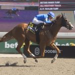 Maycocks Bay – Eclipse Stakes G2 – Woodbine/ Michael Burns Photo