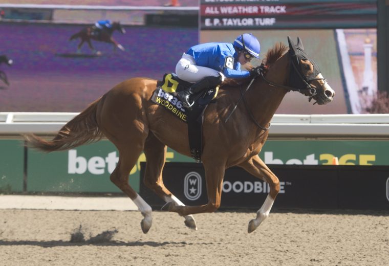 Maycocks Bay – Eclipse Stakes G2 – Woodbine/ Michael Burns Photo