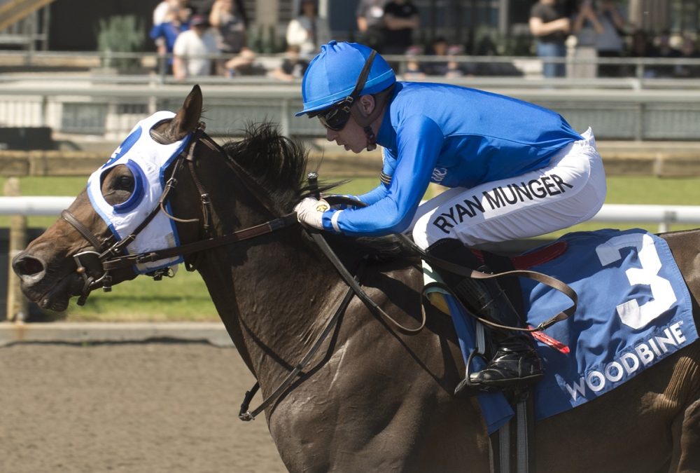 Deloraine – Belle Mahone Stakes G3 – Woodbine/ Michael Burns Photo