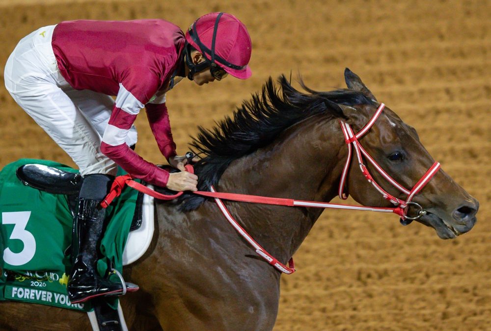 Forever Young - Jockey Club of Saudi Arabia