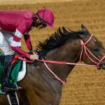 Forever Young - Jockey Club of Saudi Arabia