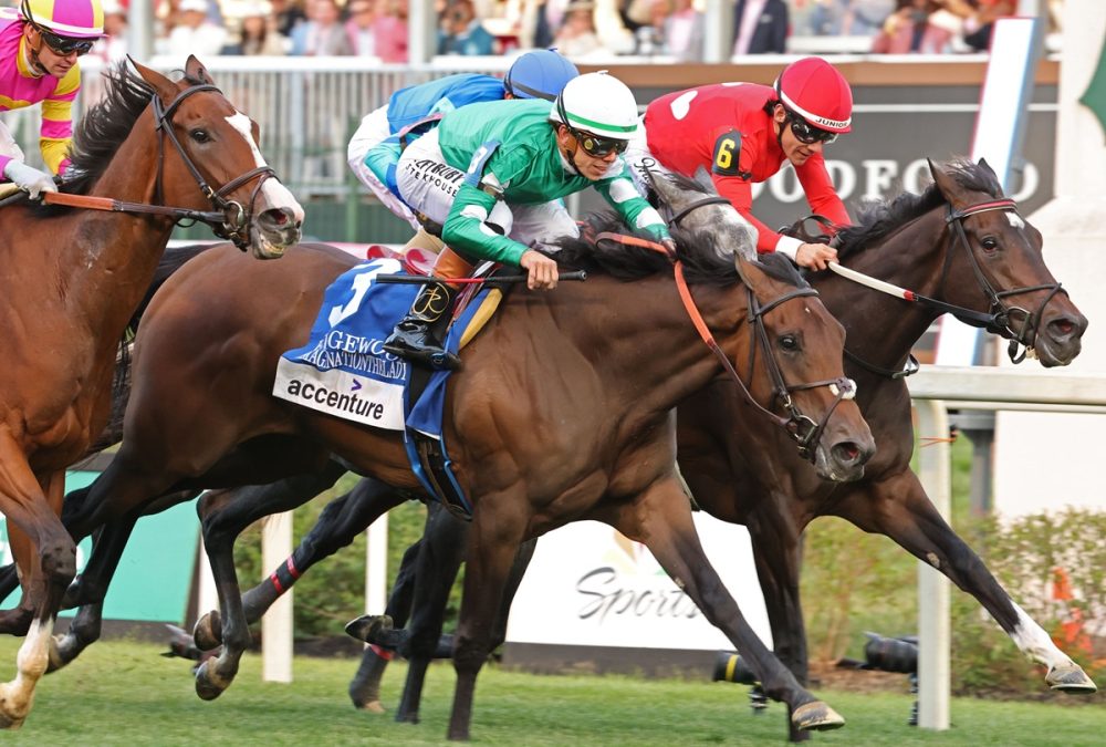 IMAGINATIONTHELADY - The Edgewood G2 - Churchill Downs - Rene Torbit Coady Media