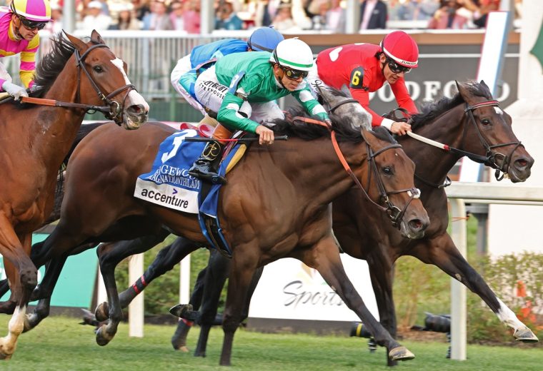 IMAGINATIONTHELADY - The Edgewood G2 - Churchill Downs - Rene Torbit Coady Media