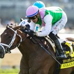 Marjoram - Senorita Stakes G3 - Santa Anita Park, Arcadia CA. - © BENOIT PHOTO