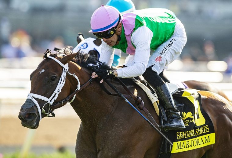 Marjoram - Senorita Stakes G3 - Santa Anita Park, Arcadia CA. - © BENOIT PHOTO