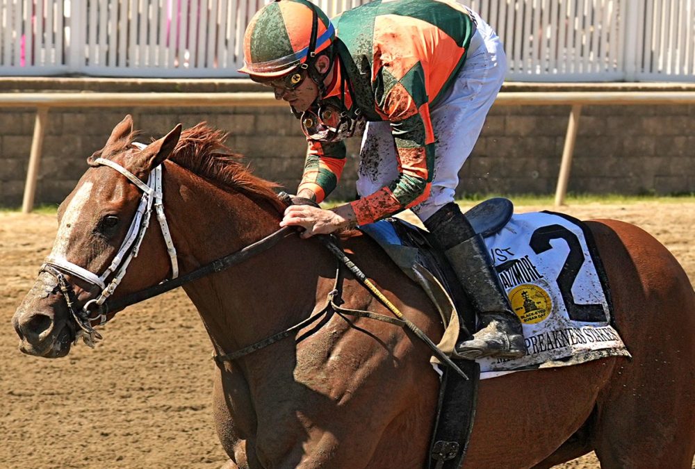 The Miss Preakness Stakes PEACH TIE - Photo: Jeffrey Snyder / The Maryland Jockey Club