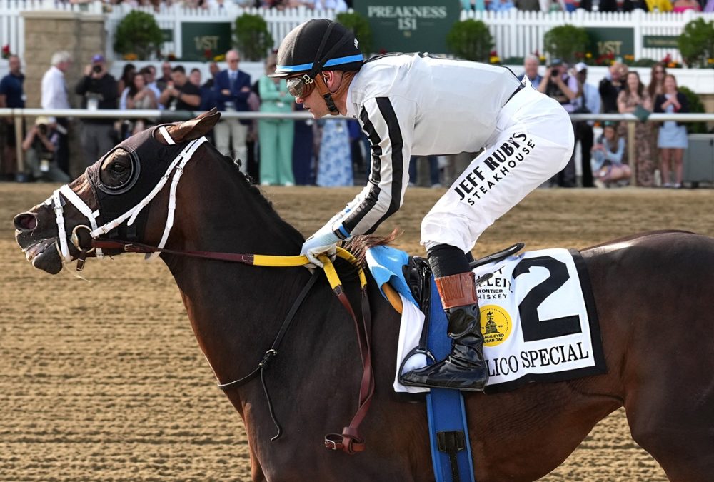 NAVAJO WARRIOR - PHOTO: Jeffrey Snyder/The Maryland Jockey Club