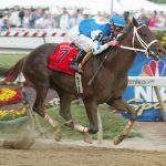 Smarty Jones - Photo credit Jeff Coady / Coady Photography