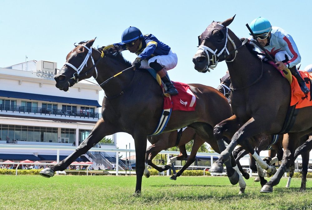 Gulfstream Park - Ryan Thompson - Coglianese Photo