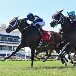 Gulfstream Park - Ryan Thompson - Coglianese Photo