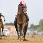 Growth Equity – the Peter Pan G3 – Coglianese Photo