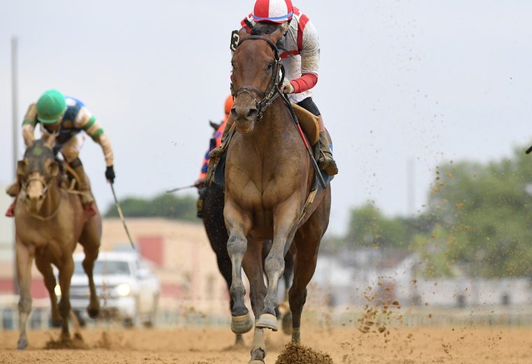 Growth Equity – the Peter Pan G3 – Coglianese Photo