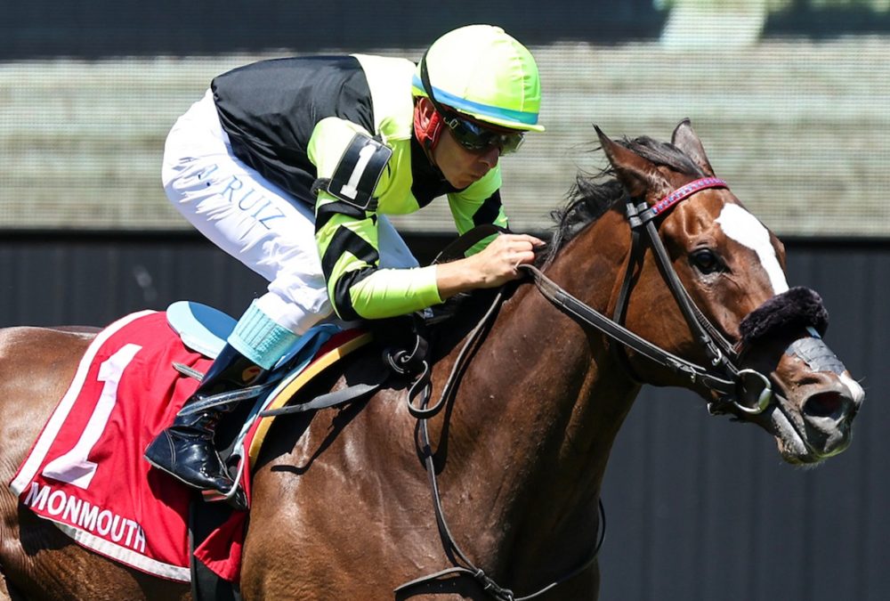 Gimme A Nother (SAf) – Grade III Eatontown Stakes – Photo By Bill Denver/EQUI-PHOTO