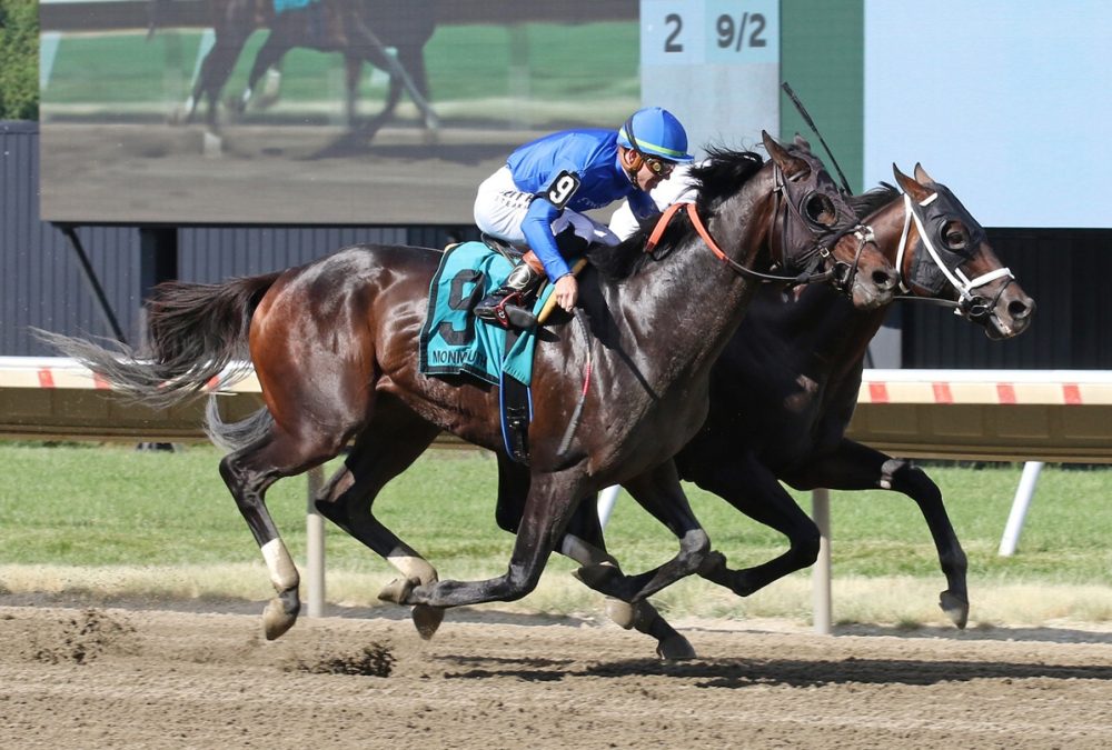 East Avenue – Grade III Salvator Mile – Monmouth Park. Photo By Taylor Ejdys/EQUI-PHOTO