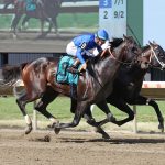 East Avenue – Grade III Salvator Mile – Monmouth Park. Photo By Taylor Ejdys/EQUI-PHOTO