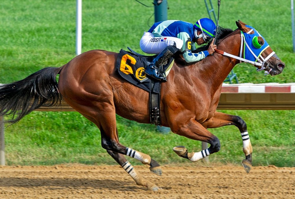 Big Cuddle – The Delaware Derby – Mary Lyons – Hoofprints Inc