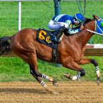 Big Cuddle – The Delaware Derby – Mary Lyons – Hoofprints Inc