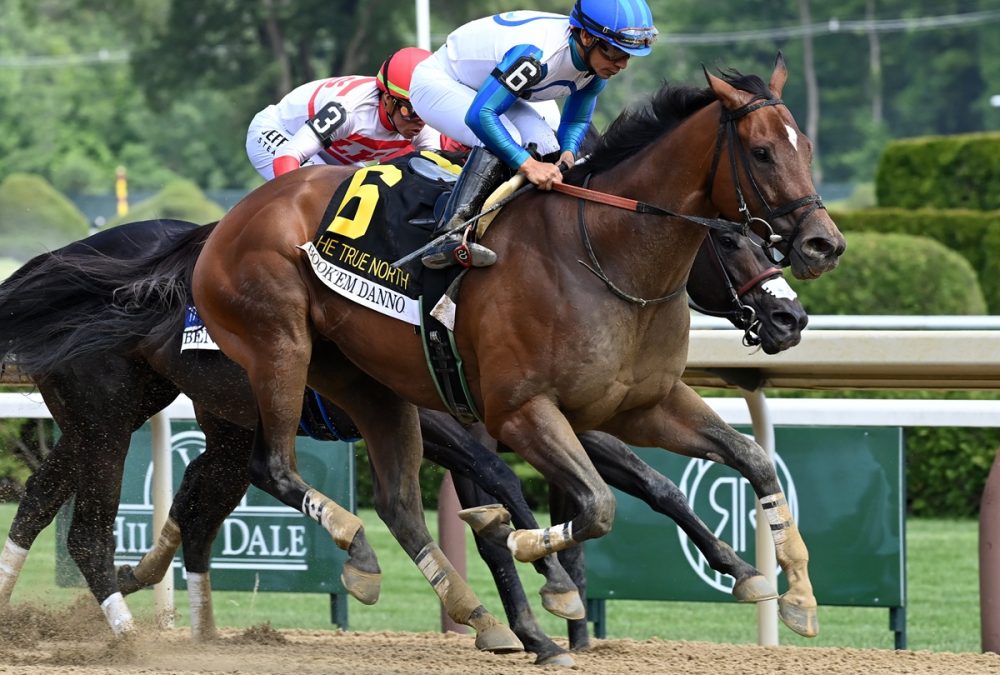 Bookem Danno - the True North -Coglianese Photo